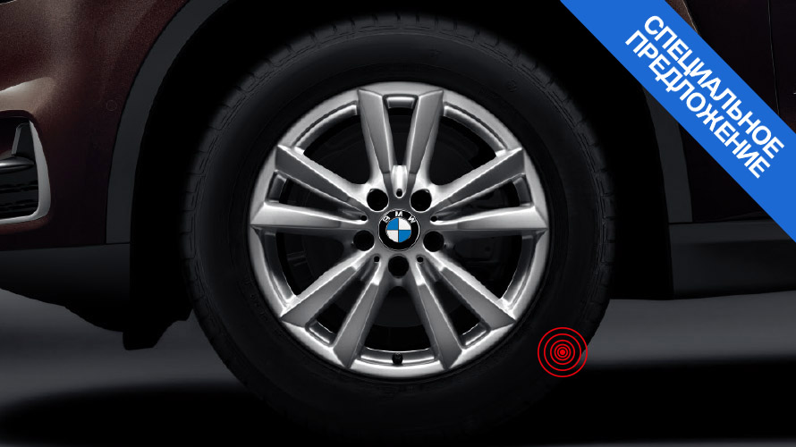 Комплект колес с зимними шинами BMW Double Spoke 446. Зимние колеса, шины BMW Double Spoke 446.